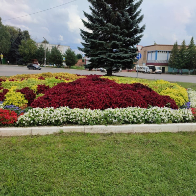 Фотография 4