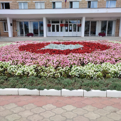 Фотография 4