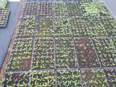 photo_2022-05-12_20-57-19 (2).jpg