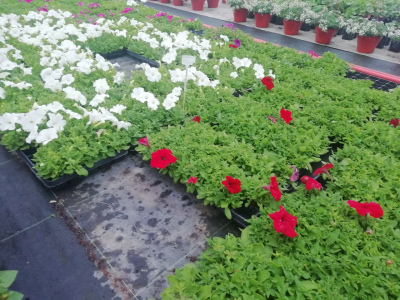 photo_2022-05-12_20-57-18 (2).jpg