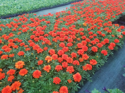 photo_2022-05-12_20-57-17 (2).jpg