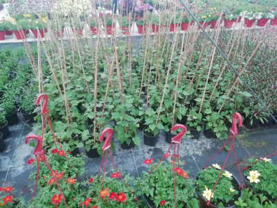 photo_2022-05-12_20-57-16 (2).jpg