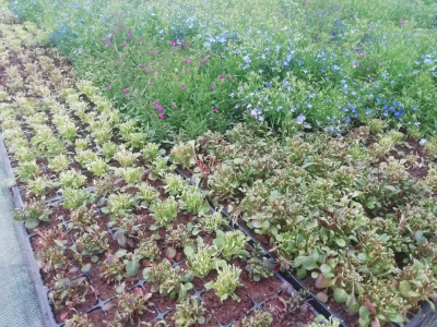 photo_2022-05-12_20-57-14 (2).jpg