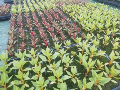 photo_2022-05-12_20-57-12 (2).jpg