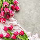 Срезы тюльпанов